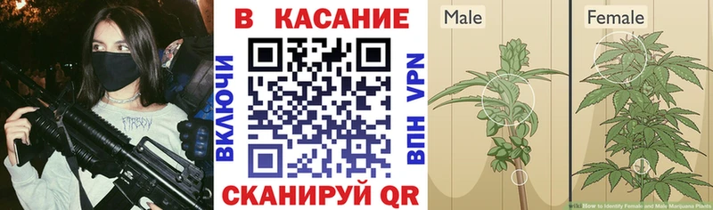 Амфетамин Весьегонск