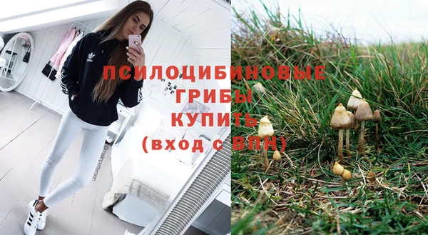 ALPHA PVP Надым