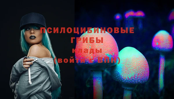 тгк Вязники